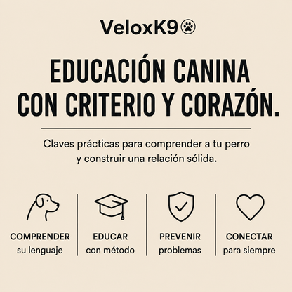 Perro Obediente en 30 Días: El Manual Definitivo